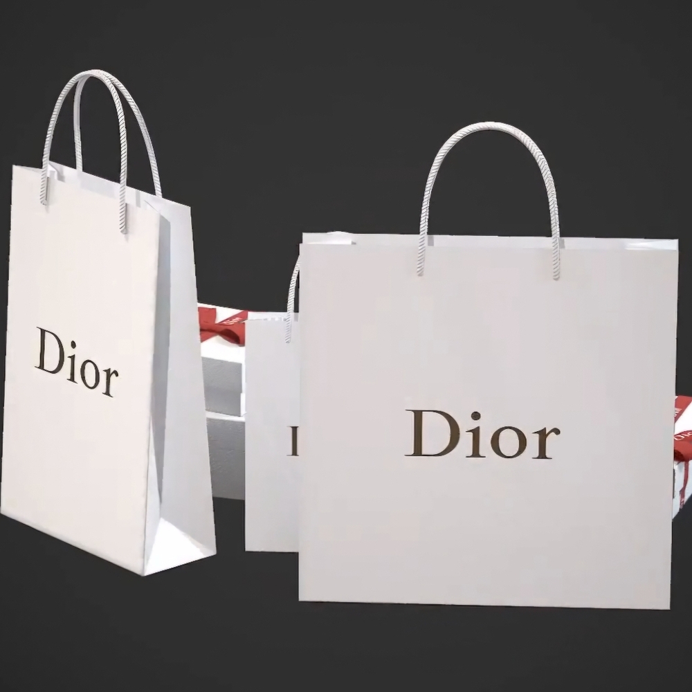 Dior Embossed Gift Bag